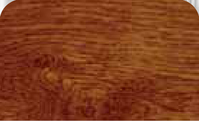 AP23 Golden Oak