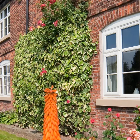 extreme-upvc-windows-gallery-43.jpg-qz6zc4sjsjmagq1glemsgaw5jdaxpopcxm4n6xaiok